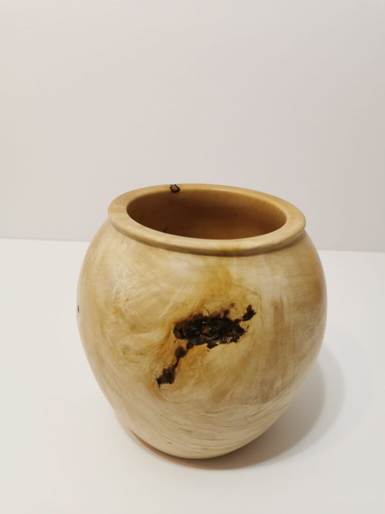 Hackberry Decorative Vase - Image 9