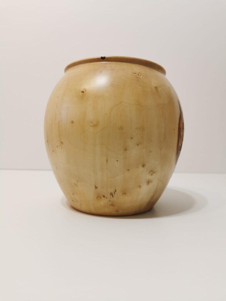 Hackberry Decorative Vase - Image 10