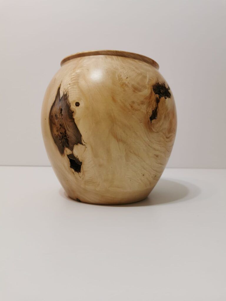 Hackberry Decorative Vase - Image 11