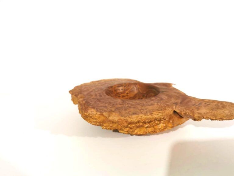 Red Mallee Burl Decorative Change Dish - Image 11