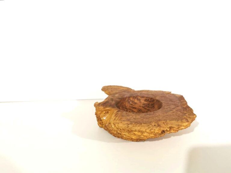 Red Mallee Burl Decorative Change Dish - Image 4